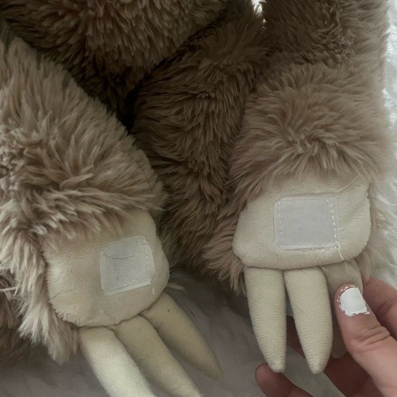 mom and baby costa rica sloth - Picture 3 of 5